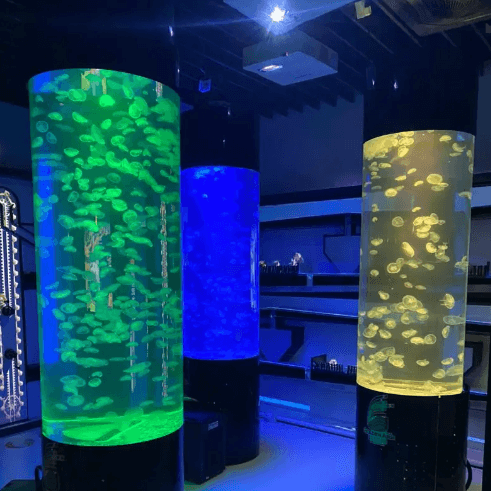 Jellyfish tank